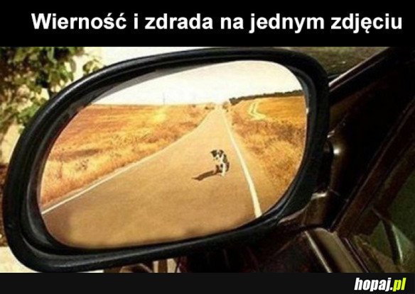 WIERNOŚĆ I ZDRADA