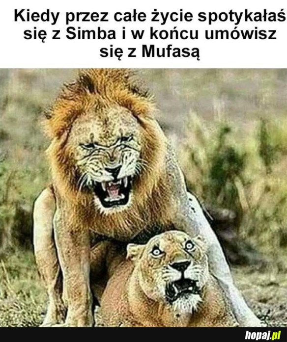 W KOŃCU MNIE DOPADŁ