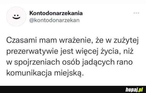 Sentencja na dziś