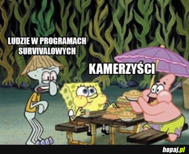 Programy survivalowe