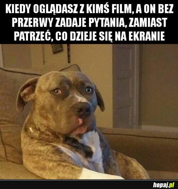 OGLĄDANIE FILMU ZE ZNAJOMYM