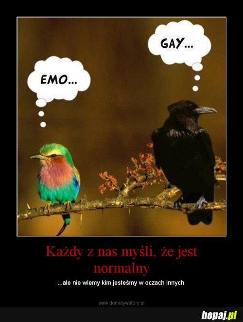 Ptaszki
