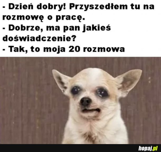 Ups