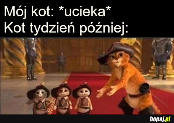 Hej pokażę ci coś