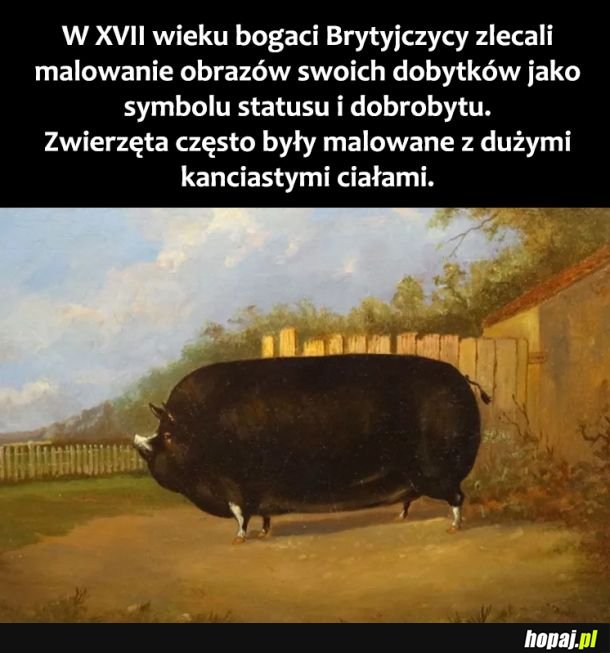 Wspaniały obraz