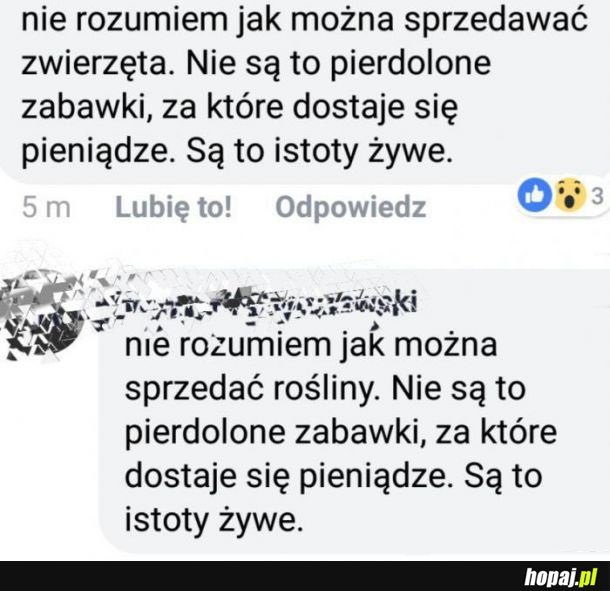 Nazwisko kolesia