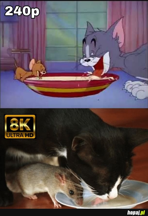 Tom i Jerry