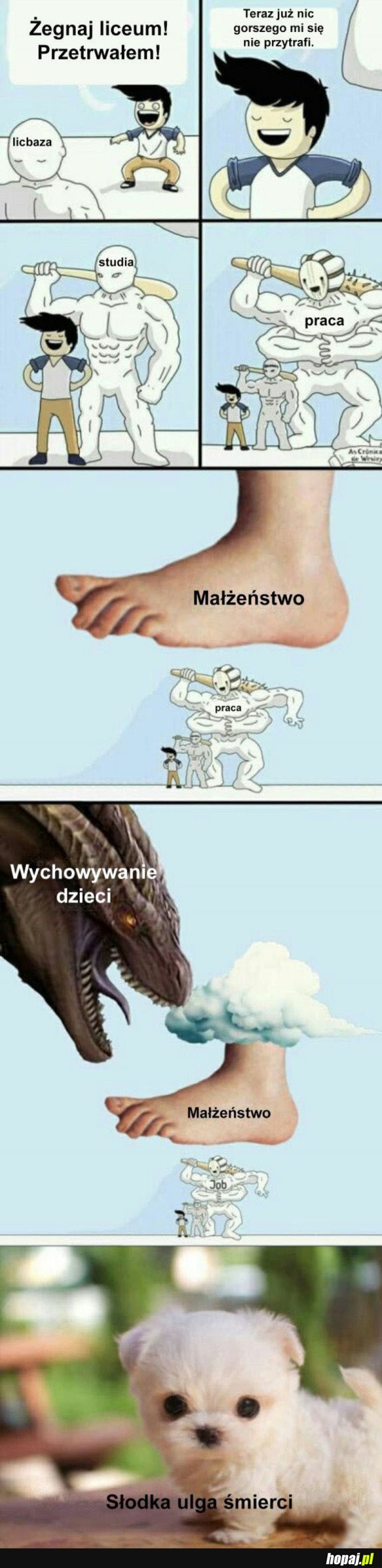 TAK TO WŁAŚNIE WYGLĄDA