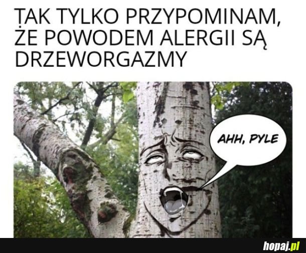 Ciekawostka na dziś