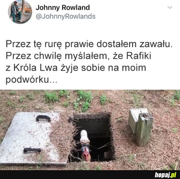 Może by mi udzielił paru rad