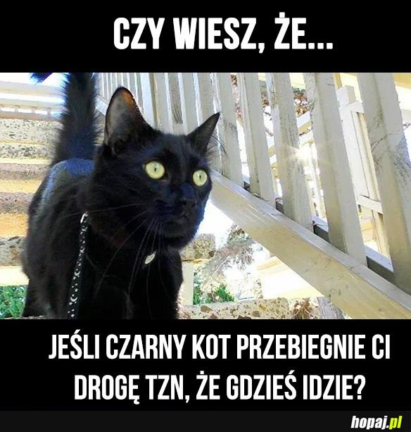 Czy wiesz, że