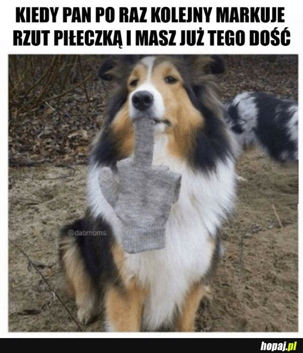 PIESEŁ STRAJKUJE