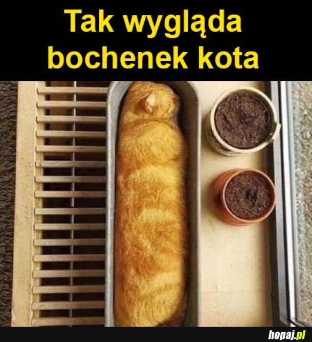 Bochenek