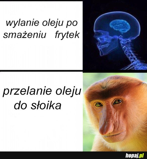 OLEJ OD FRYTKUW