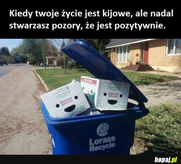 Dam radę