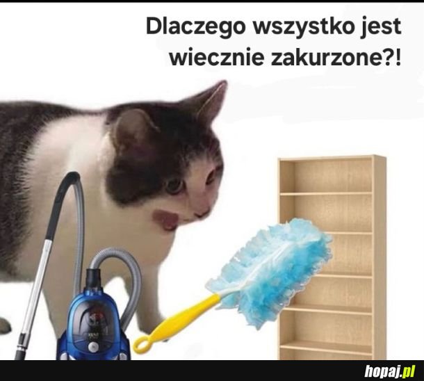 Dlaczego?