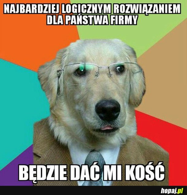 LOGICZNE ROZWIĄZANIE