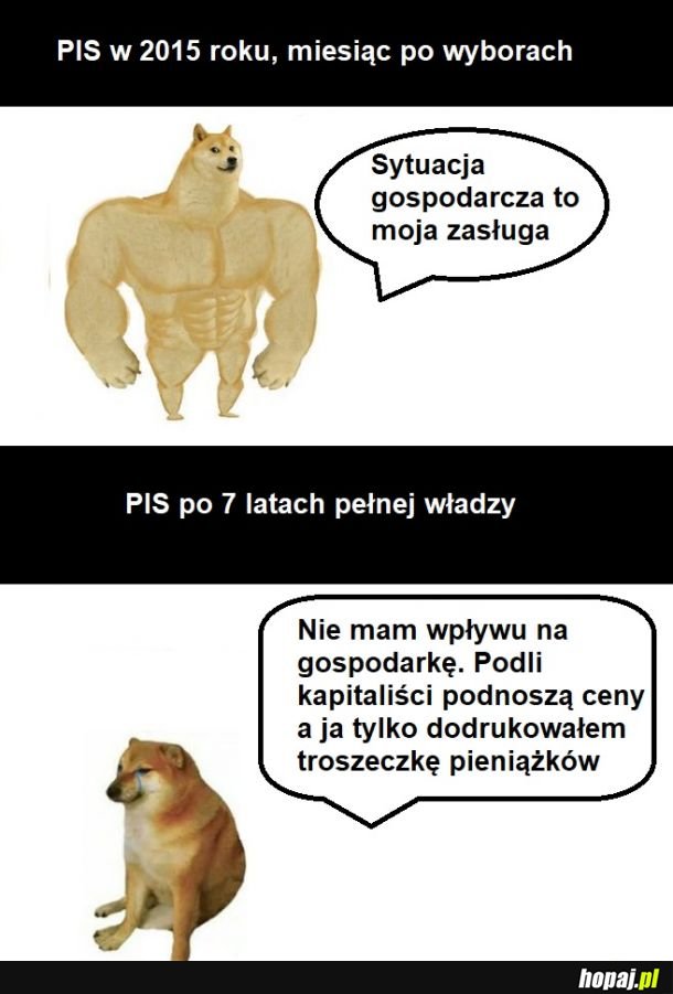 Co złego to nie moja wina