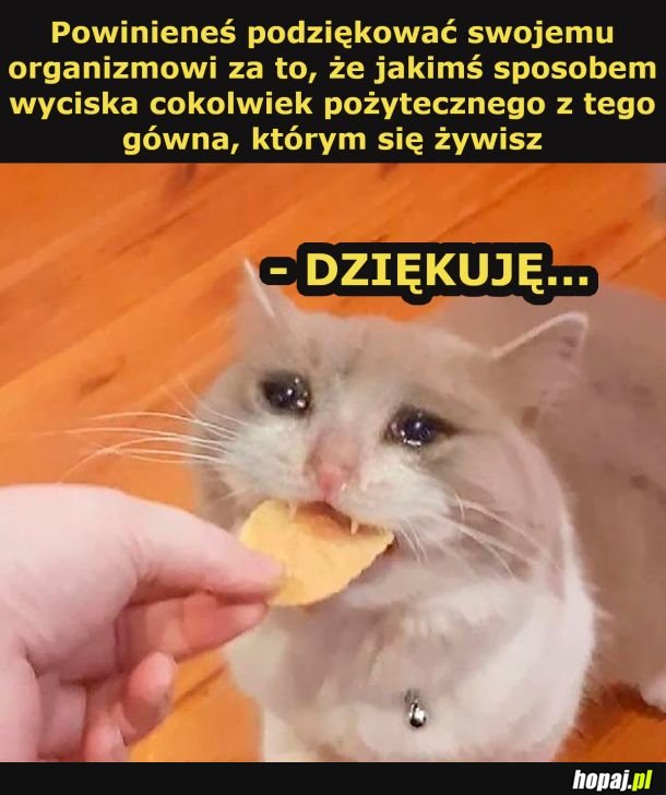 Dziękuję...