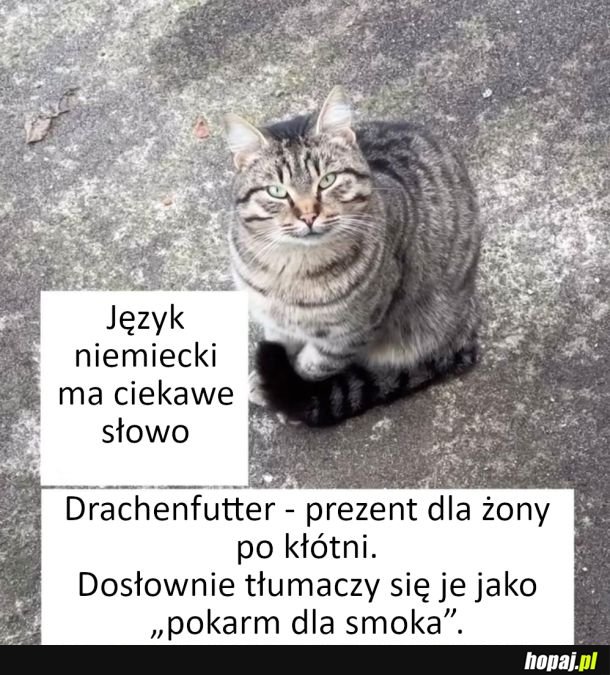 Ciekawe niemiecki słowo