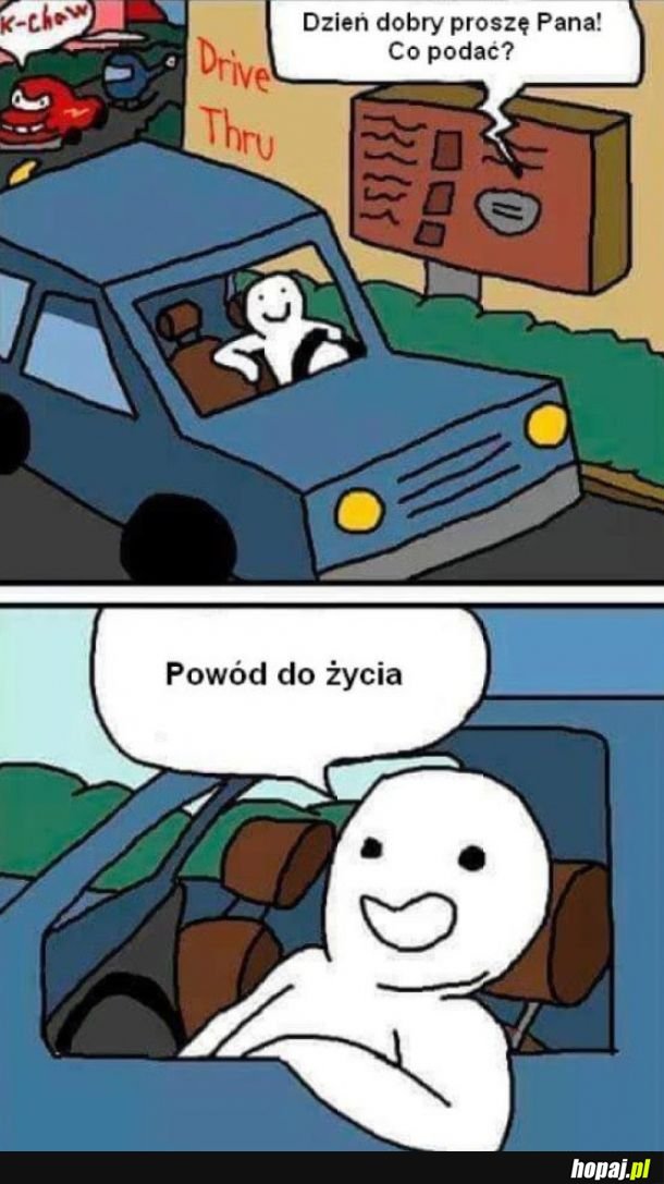 Co podać