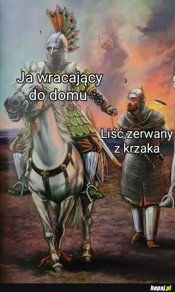 Liść