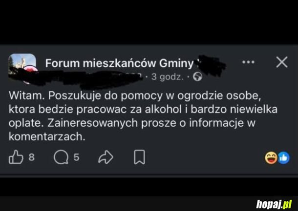 Poważna oferta