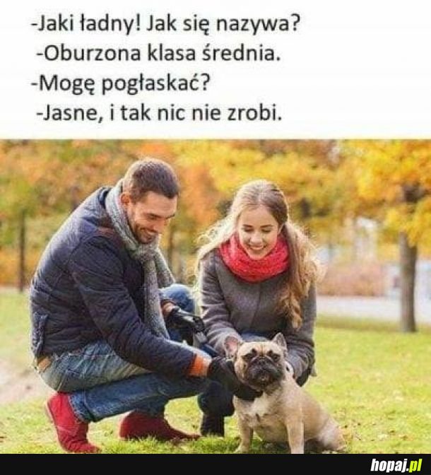 Klasa średnia 