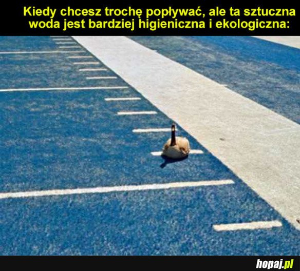 Kiedy chcesz popływać