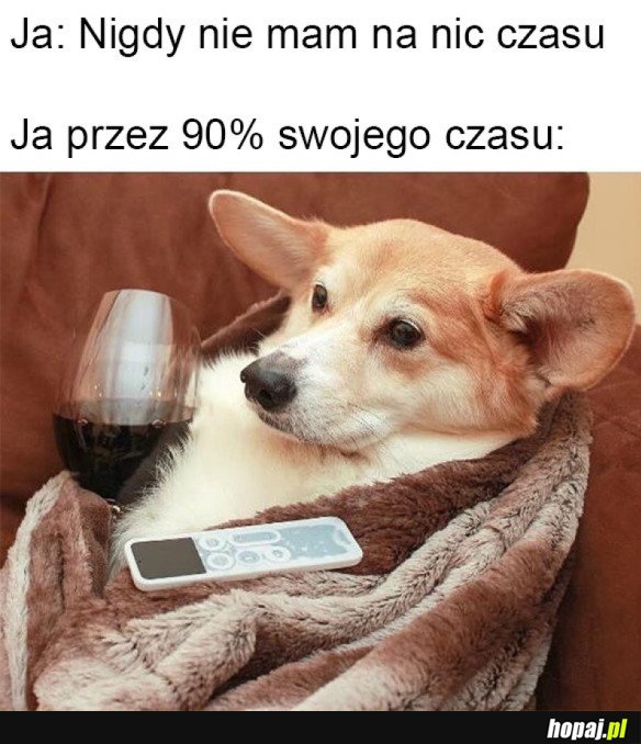 MOJE ŻYCIE 