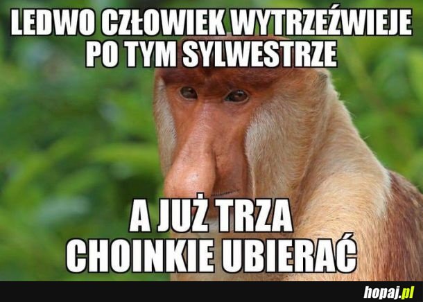 I tak to życie leci