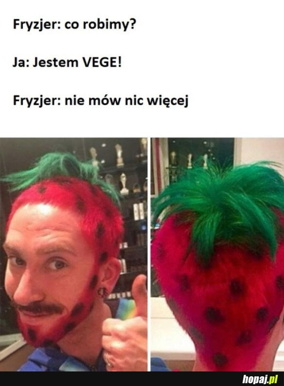 FRYZ DLA VEGE