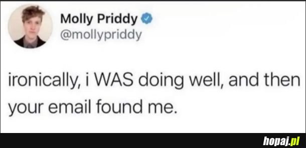 I hope this email finds you well