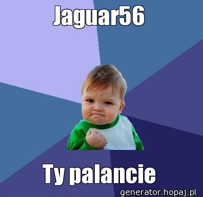 Jaguar56