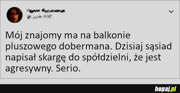 Kiedy trafisz na sąsiada debila