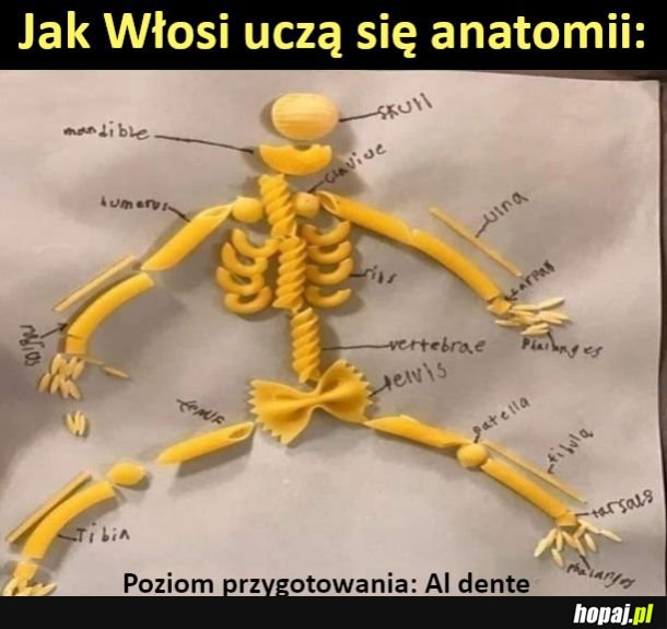 Tak właśnie Włosi uczą się anatomii
