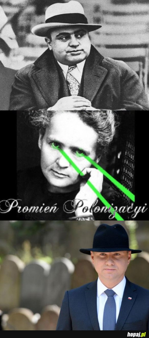 PROMIEŃ POLONIZACYI