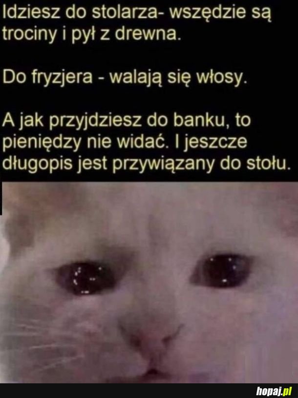 Tak jest