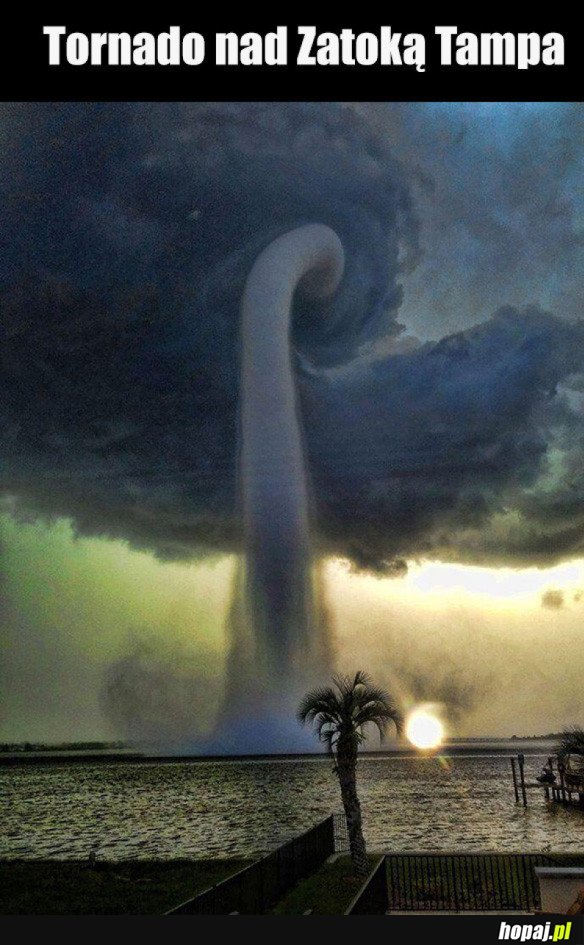 Tornado