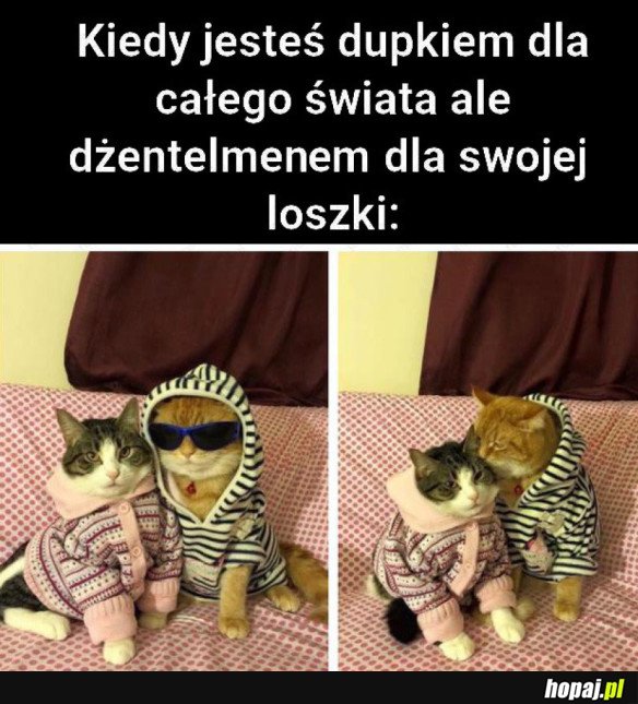 KIEDY JESTEŚ DUPKIEM