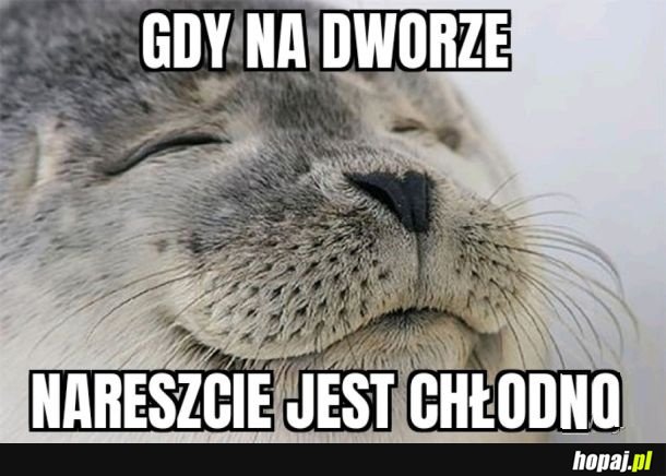 Nareszcie