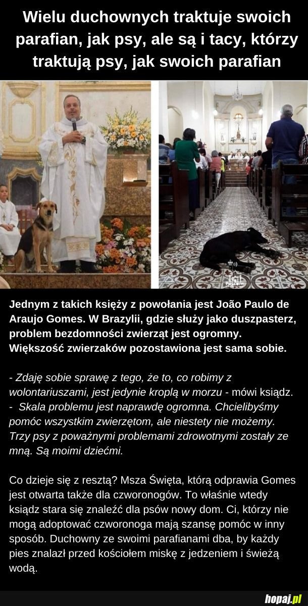 Psi ksiądz