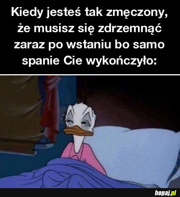 Spać