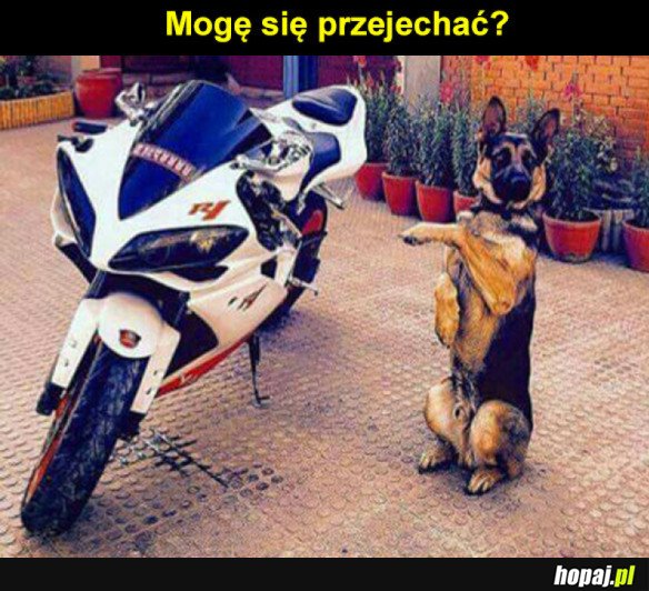 Mogę?