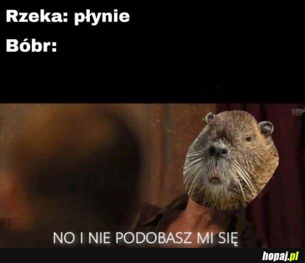 Bobery
