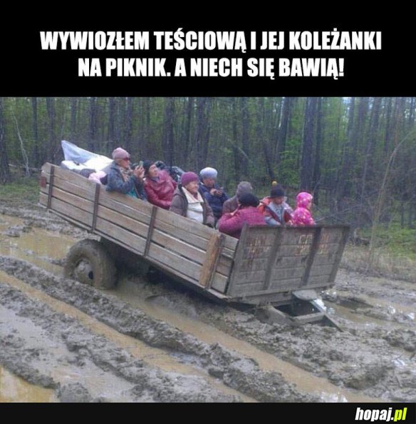 PIKNIK