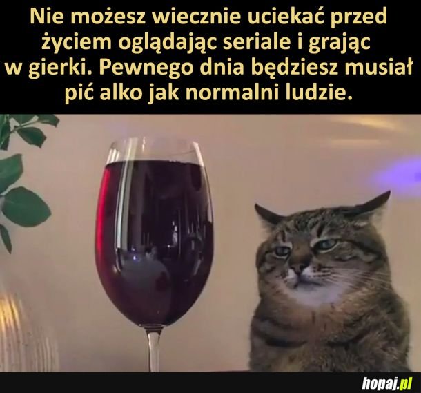 Nie można wiecznie uciekać