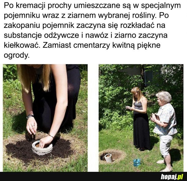 Super rozwiązanie 