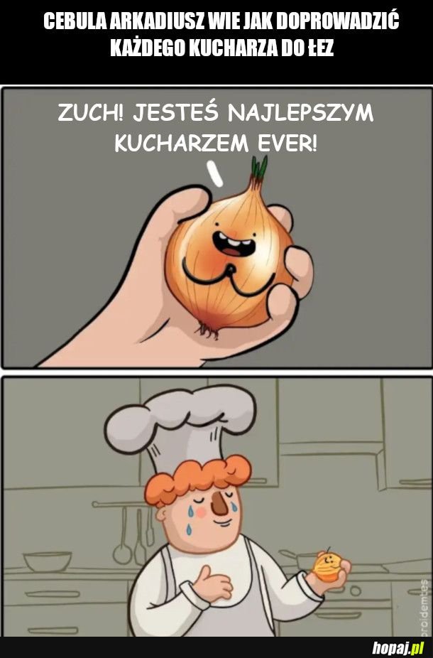  Cebula