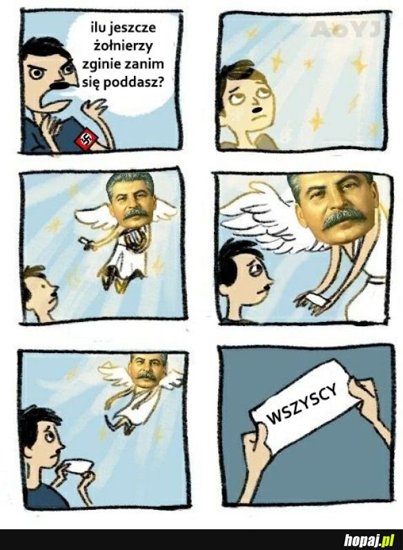 Tak to wygląda
